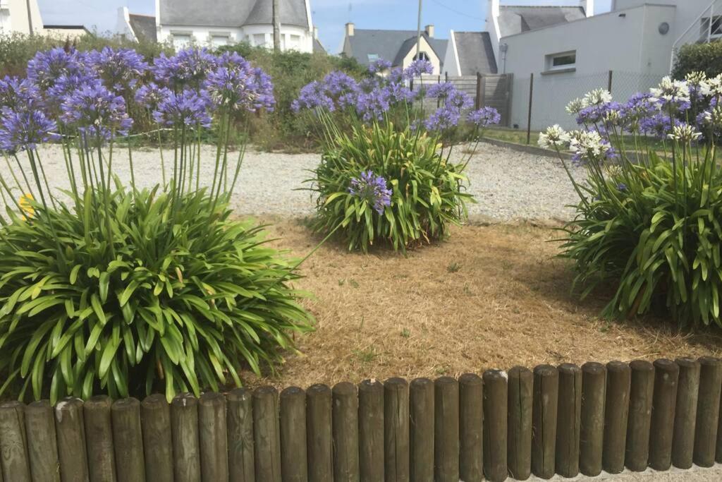 Pied A Terre Pour Des Vacances Au Bord De La Mer Le Conquet Eksteriør bilde